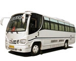 Large Coach