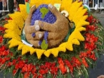 Elephant Festival