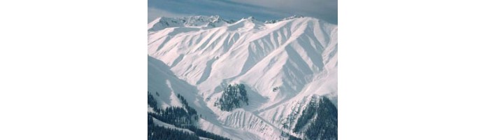 /mansupport/TourPackage/Paradise On Earth Kashmir Tour